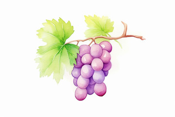 Grape, classical art , cartoon drawing, water color style, AI Generated