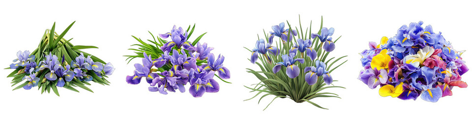German Iris Flower Pile Of Heap Of Piled Up Together Hyperrealistic Highly Detailed Isolated On Transparent Background Png File