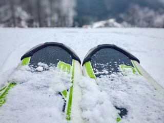Close up of skis in the snow