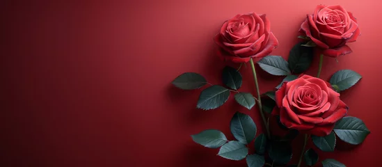 Fotobehang Red rose flower background. Floral wallpaper, banner. February 14, valentine's day, love, 8 march women's day theme.   © elenabdesign