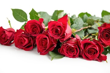 Pile of red roses on white background. Suitable for Valentine's Day.