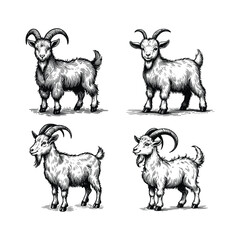 hand drawn goat engraving style vector illustration isolated white background