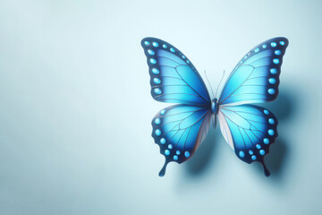 Beautiful butterfly on a clean background. Space for text.