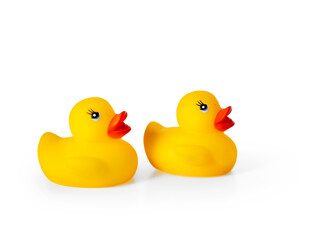 Two yellow rubber ducks on white background empty copy space.