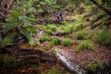 Blur of motion water and ground with rocks and leaves, wild green vegetation and waterfall of Paredes in background, Mort&aacute;gua PORTUGAL