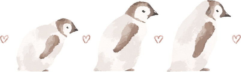 Cute penguins walking in line illustration. Valentine day card. Love concept illustration - 711826925