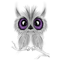 owl