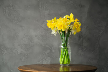 Simplicity in Bloom. Glass Vase with Yellow Daffodils on a Table Against a Gray Wall, copy space.