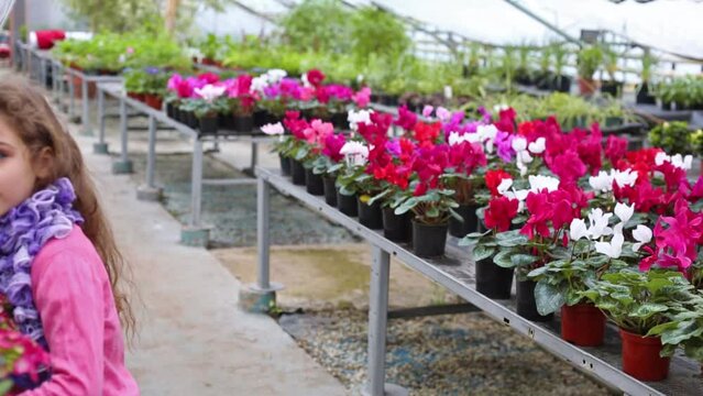 Beautiful girl replace flower pot with red hydrangea