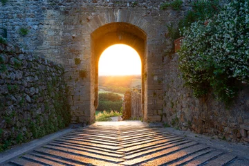 Photo sur Aluminium Vielles portes archway in the castle