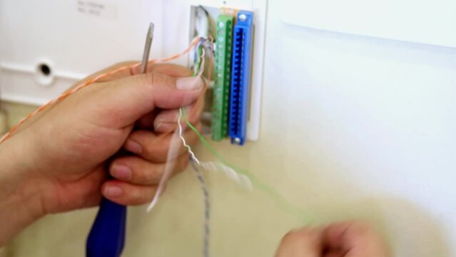Male hands untwist twisted pair during preparing cable to installation.