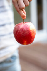 Child holding an apple by its stalk