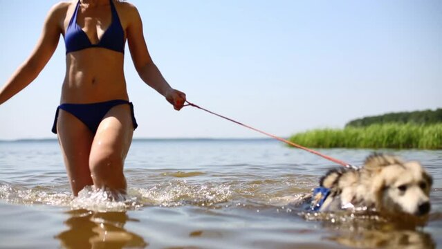 Pretty woman with swimming dog husky goes in water of river