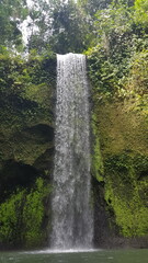 waterfall in the forest