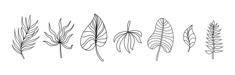 leaves set on white background. Hand drawing vector