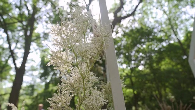 Boho wedding arch on the forest. Wedding decor created by a talanted florist 