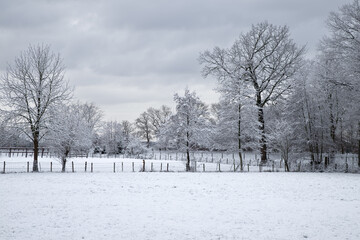 Fototapeta na wymiar Polder landscape covered with snow.