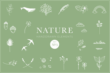 Nature Handdrawn Collection, Illustrations, clipart, animals, botanical, tattoo, drawing, pack