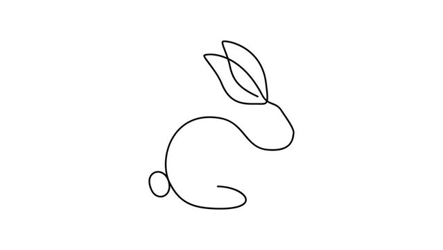 Easter bunny animation, rabitt continous one line hand drawing