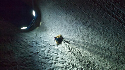 A man standing in the light of car headlights, winter conditions and snow on slippery road, concept of seeing at dusk drivers or difficult weather conditions.