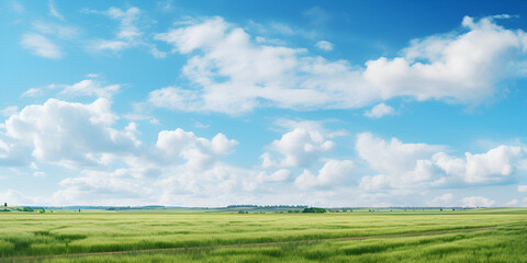 green field and sky, View of the meadow and the sky on cloudy days, A green field against a blue sky with white clouds, Arafed view of a green field with a blue sky and clouds,  Generative AI