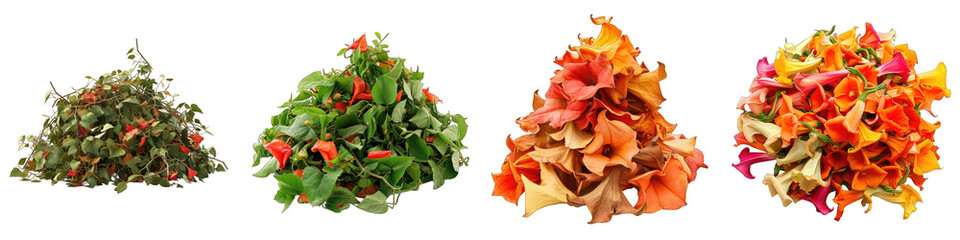 Trumpet Vine Flower Pile Of Heap Of Piled Up Together Hyperrealistic Highly Detailed Isolated On Transparent Background Png File