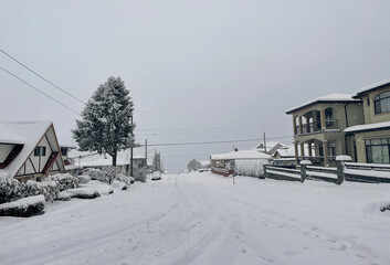 Heavy snowfall in a Metro Vancouver neighborhood on January 17, 2024 in British Columbia, Canada.