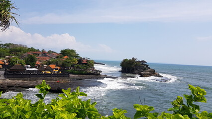 beach with palm trees