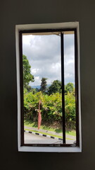 view of the nature from the window