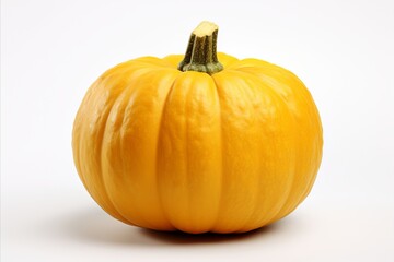 Obraz premium Single pumpkin isolated on white background halloween decoration and autumn harvest concept