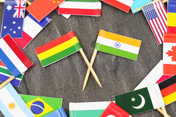The concept is diplomacy. In the middle among the various flags are two flags - India, Lithuania