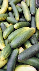 cucumbers on the market