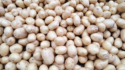 Potatoes background