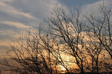 Obraz premium sunset in the mountains