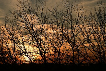 sunset in the steppe