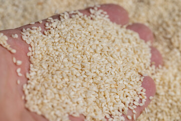 Fototapeta na wymiar white sesame seeds on the kitchen table