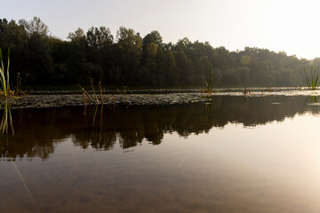 Obraz premium The river during the dawn in autumn , the waves on the river