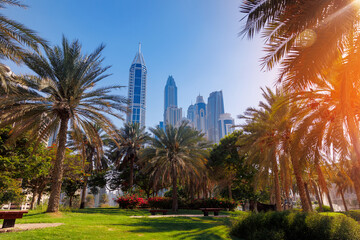 Cityscape of Dubai, summer park with skyscrapers, sunlight. Amazing view skyline. Concept travel tourism in UAE - obrazy, fototapety, plakaty
