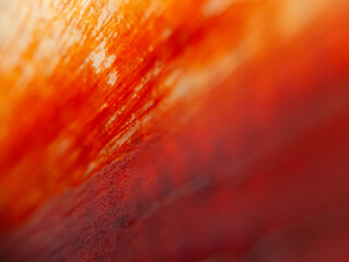 Close-Up Texture of a Vibrant Red and Orange Abstract Painting
