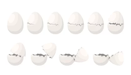 Fotobehang Broken egg set, sequence game animation. Eggshell crack steps for cooking, breaking stages from whole to half cracked empty egg with crash damage and white pieces of shell cartoon vector illustration © Flash concept
