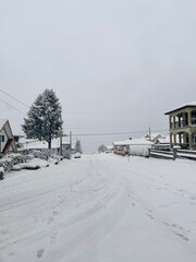 Heavy snowfall in a Metro Vancouver neighborhood on January 17, 2024 in British Columbia, Canada.