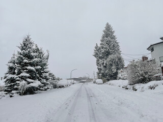 Heavy snowfall in a Metro Vancouver neighborhood on January 17, 2024 in British Columbia, Canada.