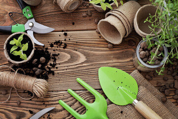 planting tools on rustic wooden background - 711889975