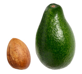 Whole green avocado fruit and avocado pit isolated on white background, tasty and healthy