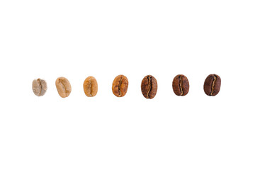 Concept various stages roasting. Coffee beans showing from green through to brown italian roast on...