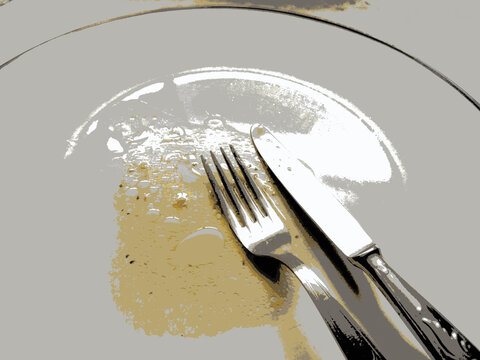 empty plate with remains of food in bitmap style