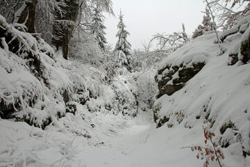 winter in the old hollow way great Egge near the Extern stones