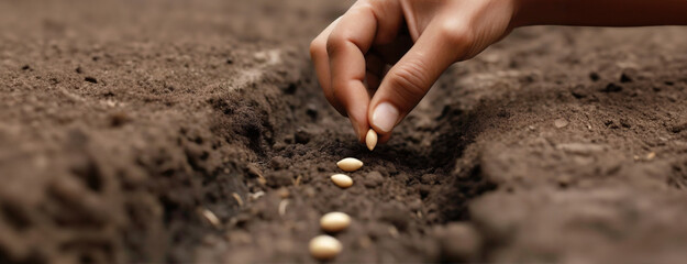 Careful Planting for Agricultural Growth. Spring work in garden at summer cottage. Fingers place seeds into the soil in a straight line, foundational steps of cultivating the land for future harvests.