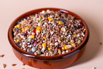 Assorted bird seed, feed for racing pigeons