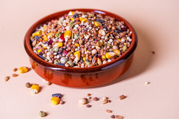 Assorted bird seed, feed for racing pigeons